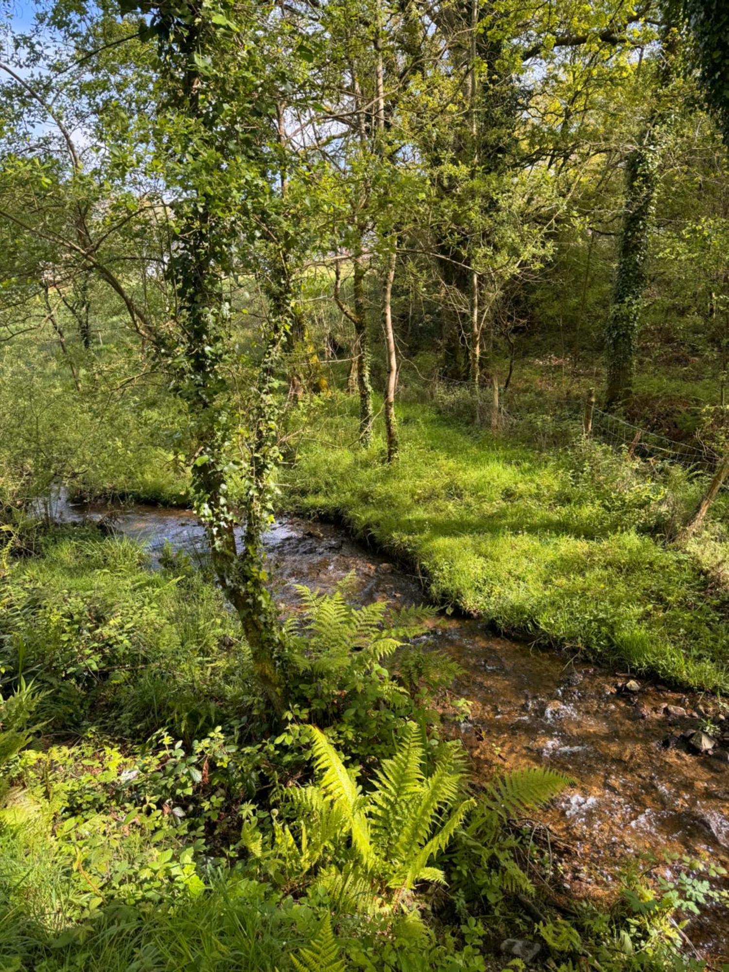 Vila L Antre De Kergoff Caurel  Exteriér fotografie